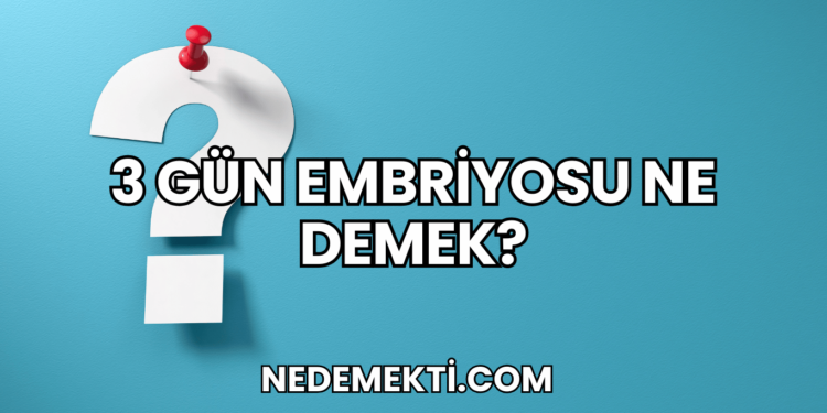 3 Gün Embriyosu Ne Demek?