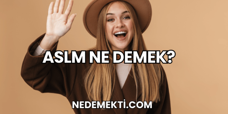 ASLM Ne Demek?