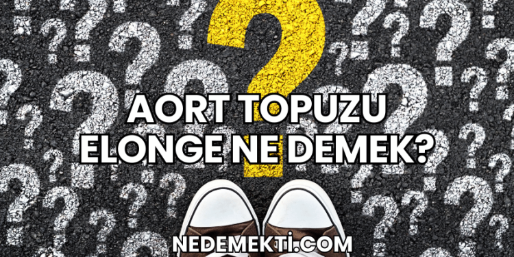 Aort Topuzu Elonge Ne Demek?