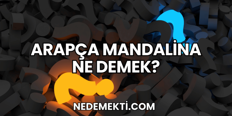 Arapça Mandalina Ne Demek?