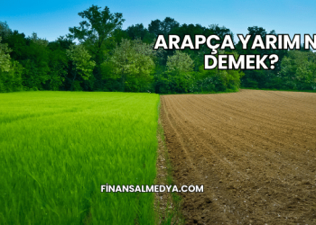 Arapça Yarım Ne Demek?