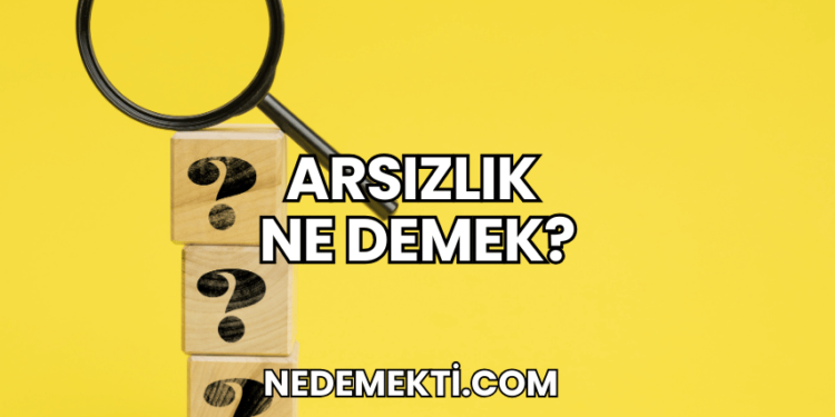 Arsızlık Ne Demek?