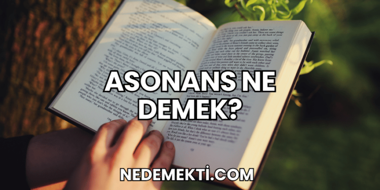 Asonans Ne Demek?