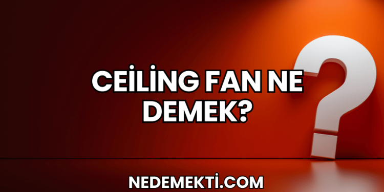 Ceiling Fan Ne Demek?