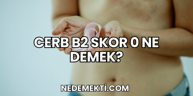 Cerb B2 Skor 0 Ne Demek?