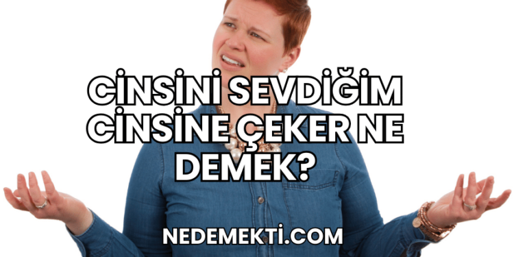 Cinsini Sevdiğim Cinsine Çeker Ne Demek?