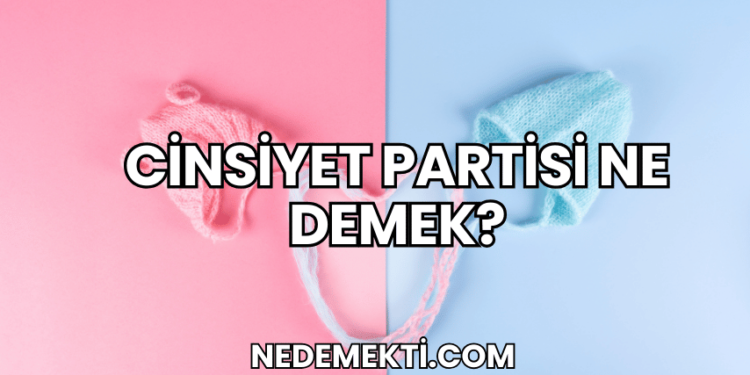 Cinsiyet Partisi Ne Demek?