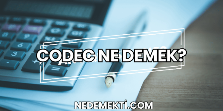 Codec Ne Demek?