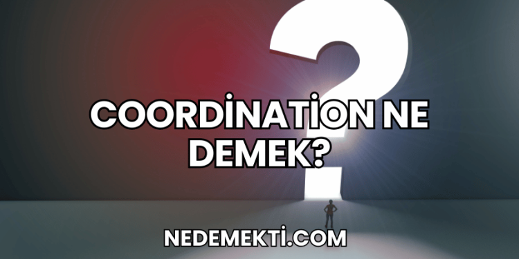 Coordination Ne Demek?