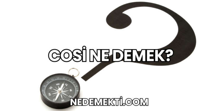 Cosi Ne Demek?