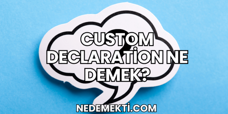 Custom Declaration Ne Demek?