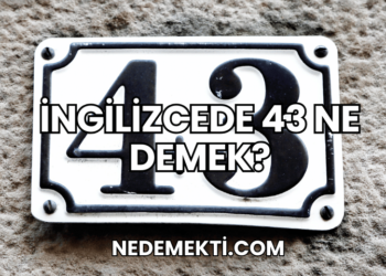 İngilizcede 43 Ne Demek?