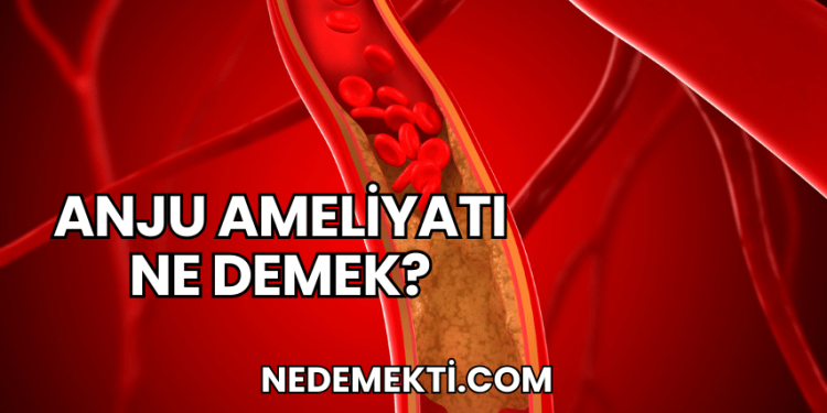 Anju Ameliyatı Ne Demek?