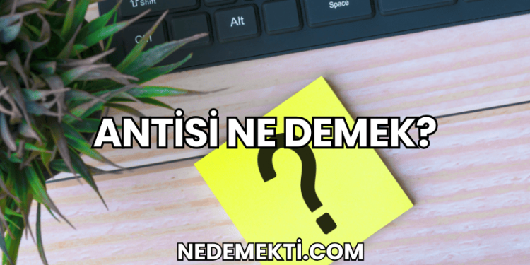 Antisi Ne Demek?