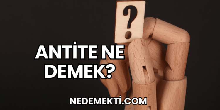 Antite Ne Demek?