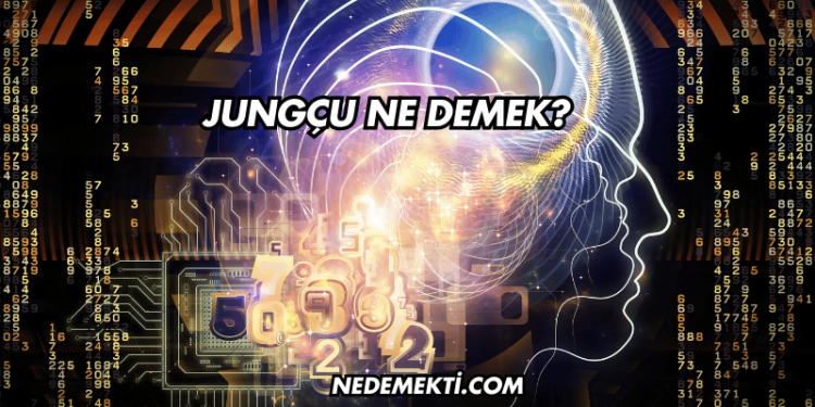 Jungçu Ne Demek?