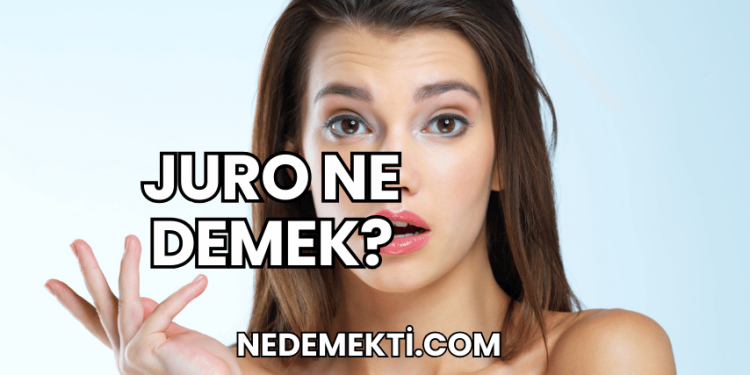 Juro Ne Demek?