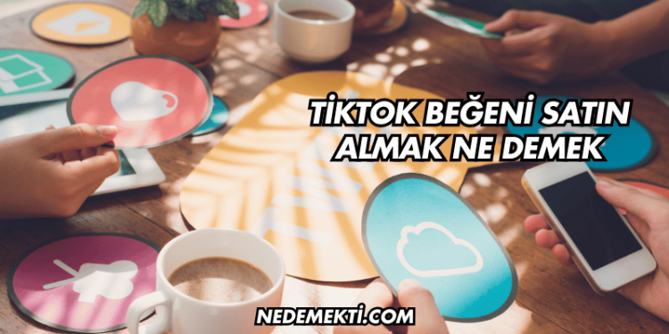 TikTok Beğeni Satın Almak Ne Demek