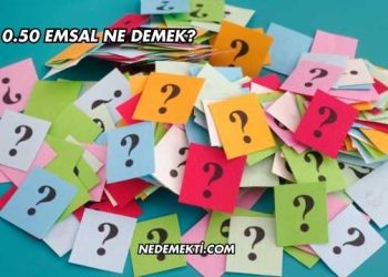 0.50 Emsal Ne Demek?