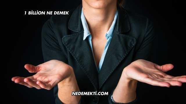1 Billion Ne Demek