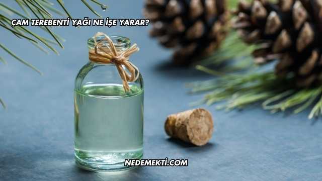 Çam Terebenti Yağı Ne İşe Yarar?