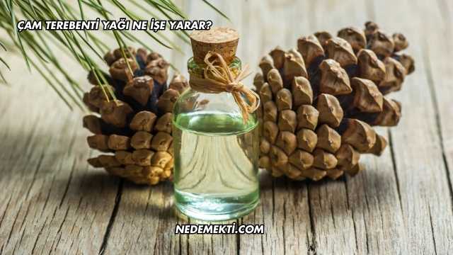 Çam Terebenti Yağı Ne İşe Yarar?