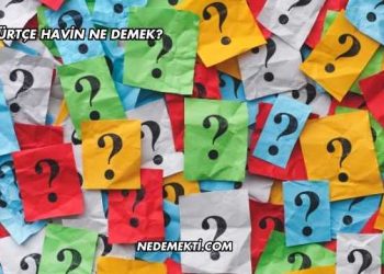 Kürtçe Havin Ne Demek?