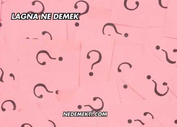 Lagna Ne Demek
