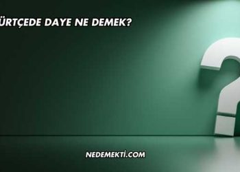 Kürtçede Daye Ne Demek?