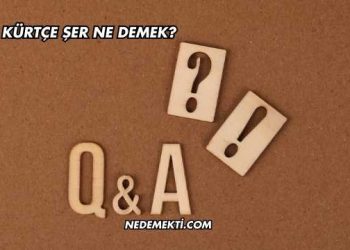 Kürtçe Şer Ne Demek?