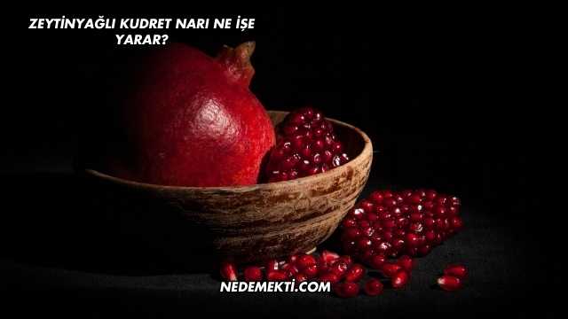 Zeytinyağlı Kudret Narı Ne İşe Yarar?