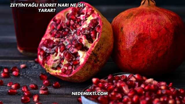 Zeytinyağlı Kudret Narı Ne İşe Yarar?